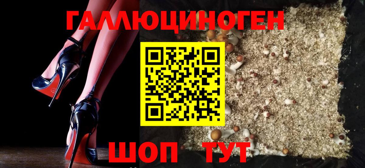 Дзержинский  Псилоцибиновые грибы Cubensis  Вход с VPN  Псилоцибиновые грибы ЛСД 